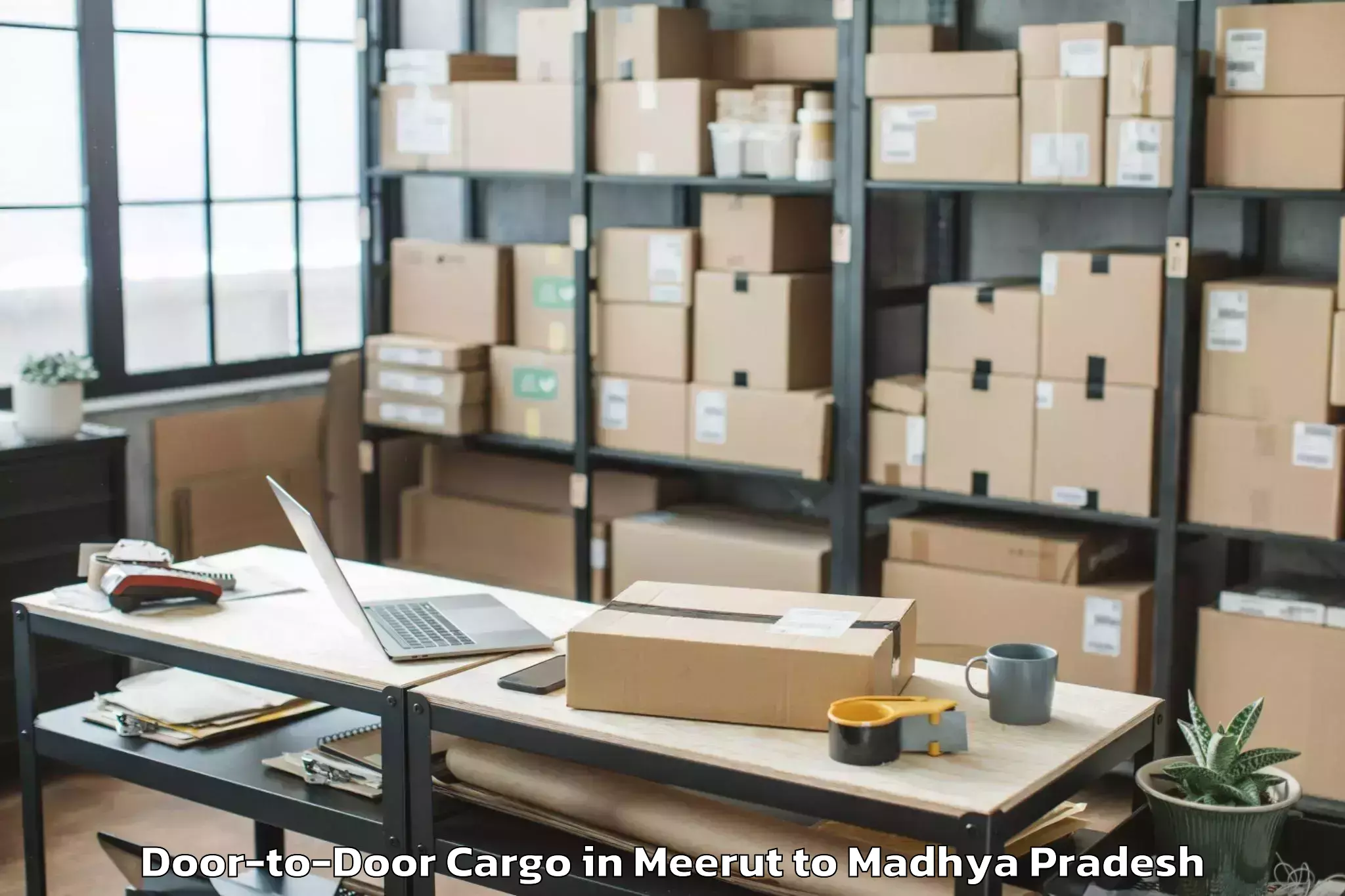 Leading Meerut to Malwanchal University Indore Door To Door Cargo Provider